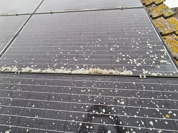 Korstmos op zonnepanelen